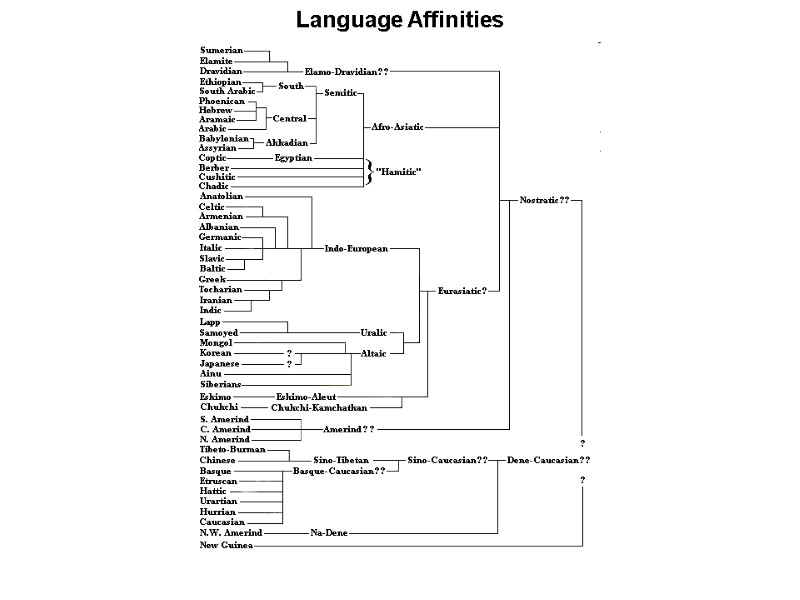 Language Affinities